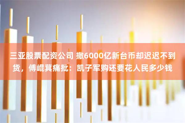三亚股票配资公司 撒6000亿新台币却迟迟不到货，傅崐萁痛批：凯子军购还要花人民多少钱